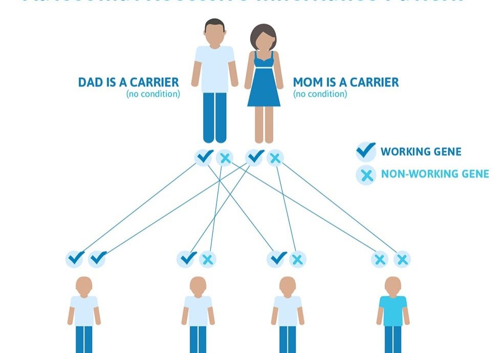 AR-inheritance-1